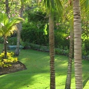 Meet your Posher, Ray